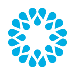 VOSS Solutions logo