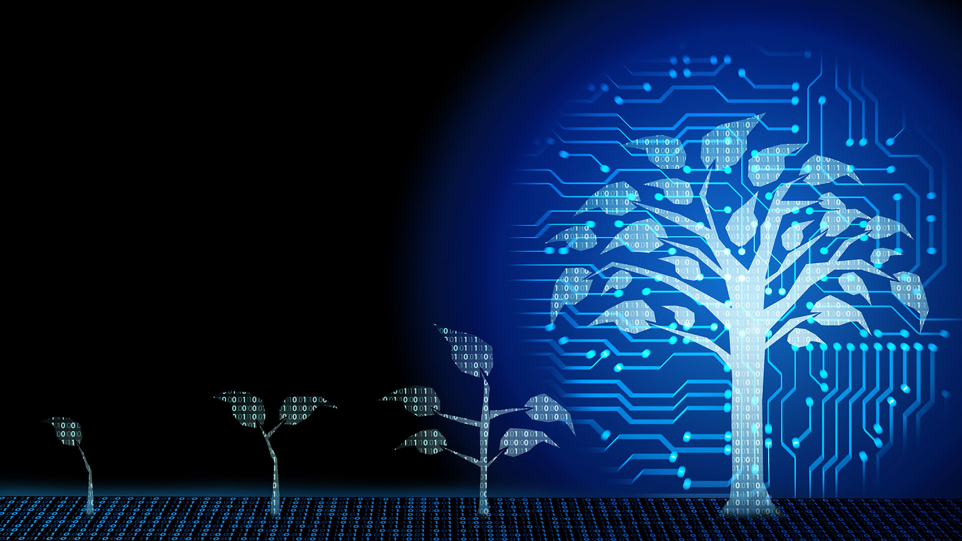 Digital maturity business growth transformation innovation to digital represented by digital trees in stages of growth.