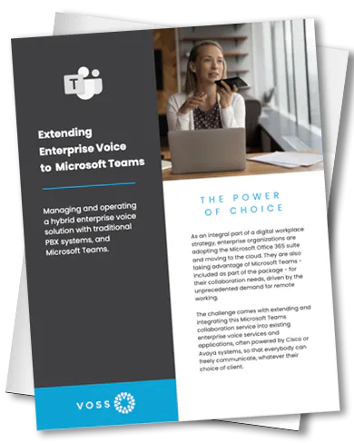 Microsoft Enterprise voice
